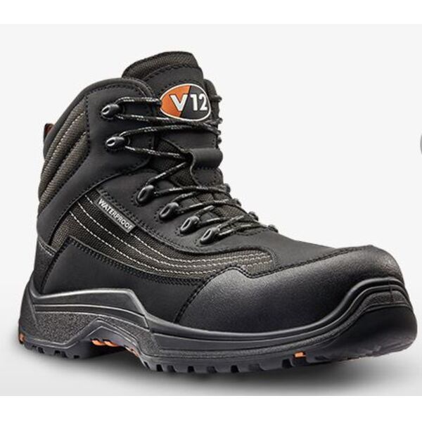 V12 CAIMAN IGS Thumbnail