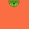 Barnstaple Orange Thumbnail
