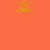Barnstaple Orange Thumbnail